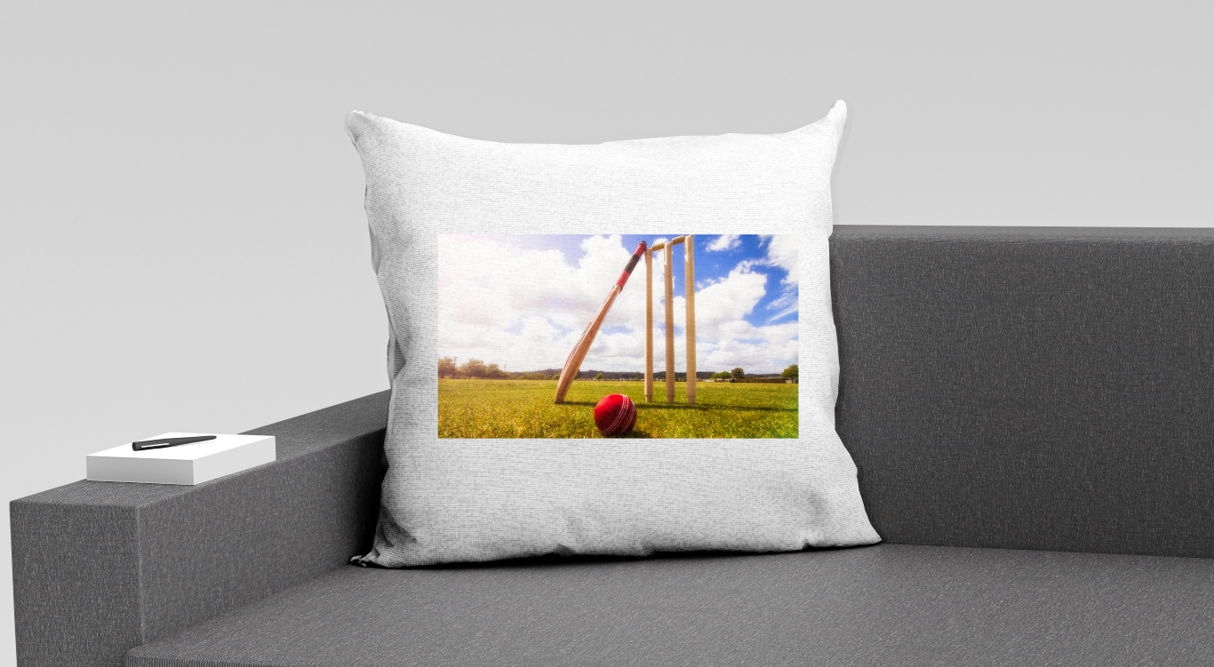 cricket-1.png